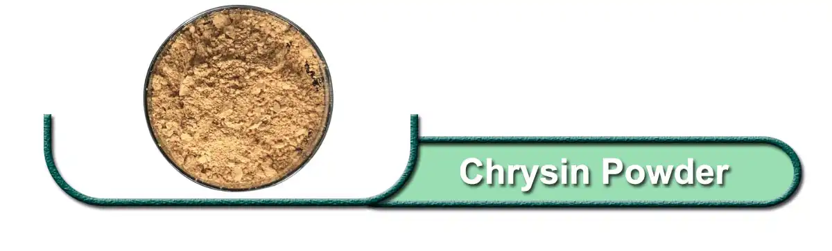 Chrysin Powder saler.jpg